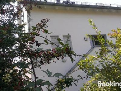 Petite Bellevue II