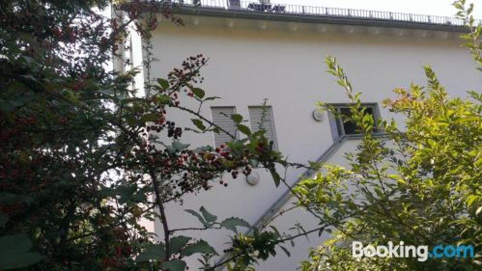 Petite Bellevue II