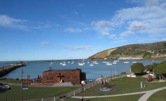 Oamaru Harbour Nest