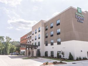 Holiday Inn Express & Suites Birmingham - Homewood