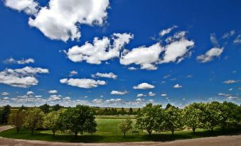 a beautiful green field under a blue sky , with scattered clouds and trees in the foreground at Claremont Inn & Winery