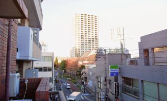 Sinjyuku Sunny Apartment404