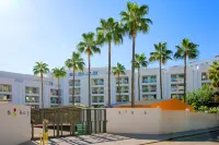 Sol Torremolinos - Don Pedro