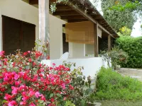 Belvedere Quadri
