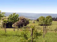 Gîte Rural Mamijana