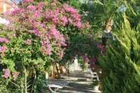 Metaxa Hotel Hotels in 