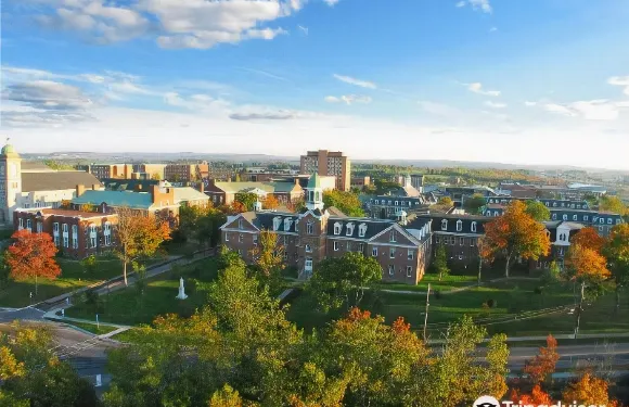 StFX 夏季大學酒店