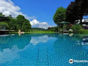 Parkhotel Flora am Schluchsee