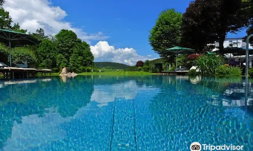 Parkhotel Flora am Schluchsee