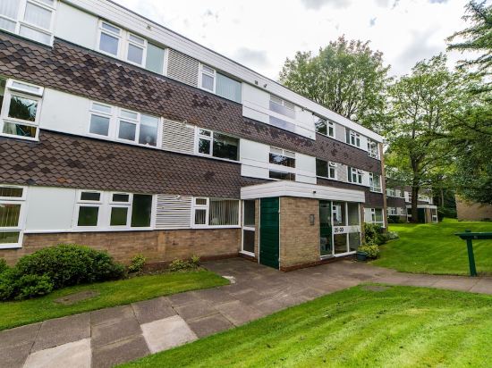 The Whetstone Exclusive Oasis