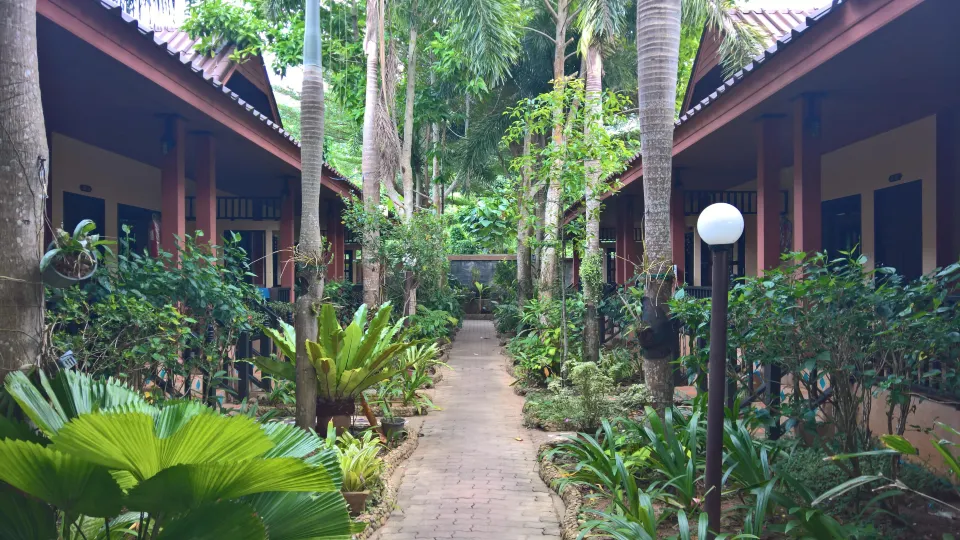 Penny's Resort