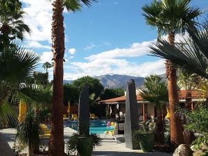 Dive Palm Springs