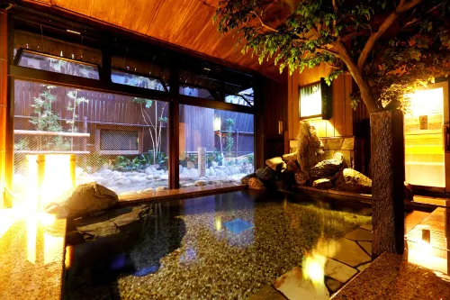 ดอร์มี อินน์ อากิฮาบาระ
