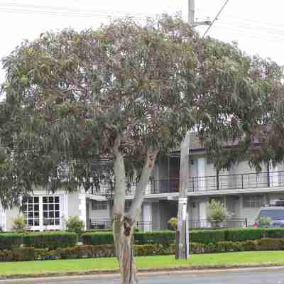 Ibis Styles Albany Hotel Exterior