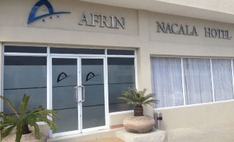 "the entrance to a building with the name "" afrim "" and "" nacal "" on it , along with a potted plant in front" at Hotel Oceano