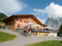 Alpinhotel Bort Hotels near Hohwald
