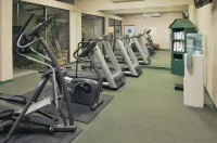 ฮอลิเดย์ อินน์ ดับลิน-เพลเซนตัน บาย IHG - ที่มีฟิตเนส