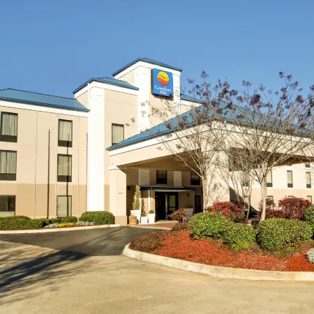 Comfort Inn Pearl-Jackson