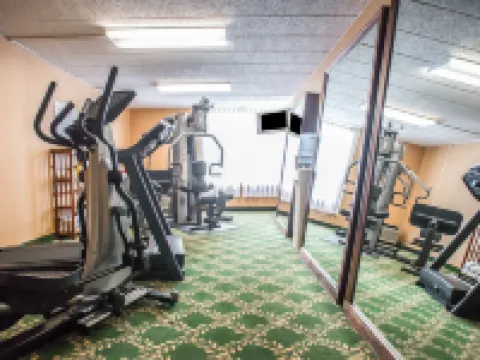 米爾霍爾-拉馬爾凱藝酒店 克林頓縣酒店