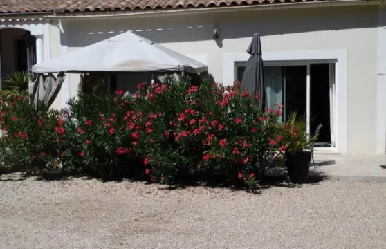 阿里西亞度假屋