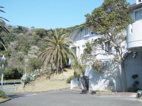 ペンション フリータイム 南伊豆町 を宿泊予約 22年安い料金プラン 口コミ 部屋写真 Trip Com