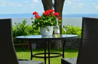 Hotel Cap-Aux-Pierres Hotels in 