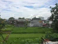 Canary Guesthouse
