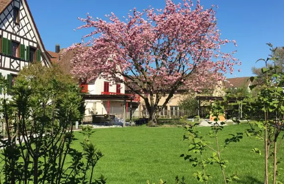 博登湖菲林酒店