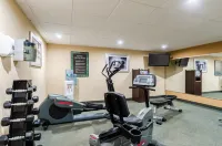 Holiday Inn Express Hyannis - Cape Cod by IHG - Træningscentre