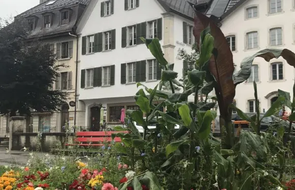 杜波依斯大廈酒店