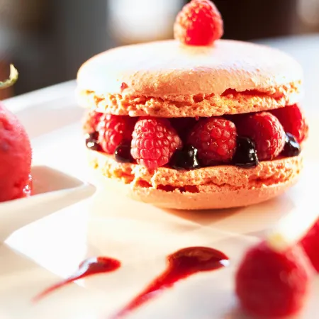 Paris Marriott Charles de Gaulle Airport Hotel