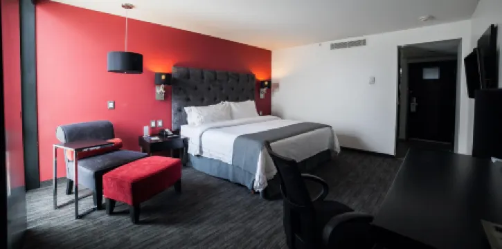 託盧卡加萊里亞斯梅特佩克智選假日酒店