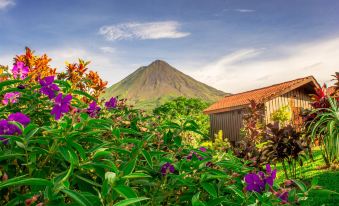 Alma Arenal Garden