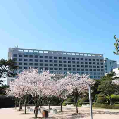 호텔현대 바이 라한 울산 Hotel Exterior