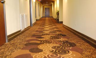 a long , carpeted hallway with white walls and wooden doors , leading to a door at the end at Scholar Morgantown, Tapestry Collection by Hilton