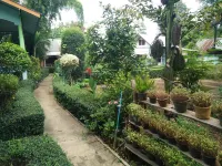 Mr Jan Guest House Hotels in Thung Yao