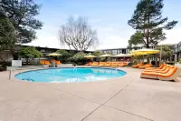 Sandman Signature Vancouver Airport Hotel & Resort - Yüzme Havuzu