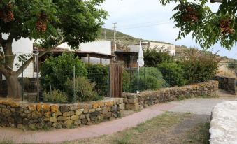Due Gatti - Housity