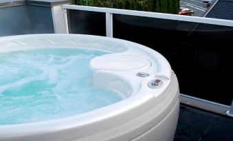 Suite Dreams Vancouver Bed and Breakfast - Housity
