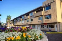 Super 8 by Wyndham Las Vegas North Strip/Fremont St. Area Hotels in Las Vegas