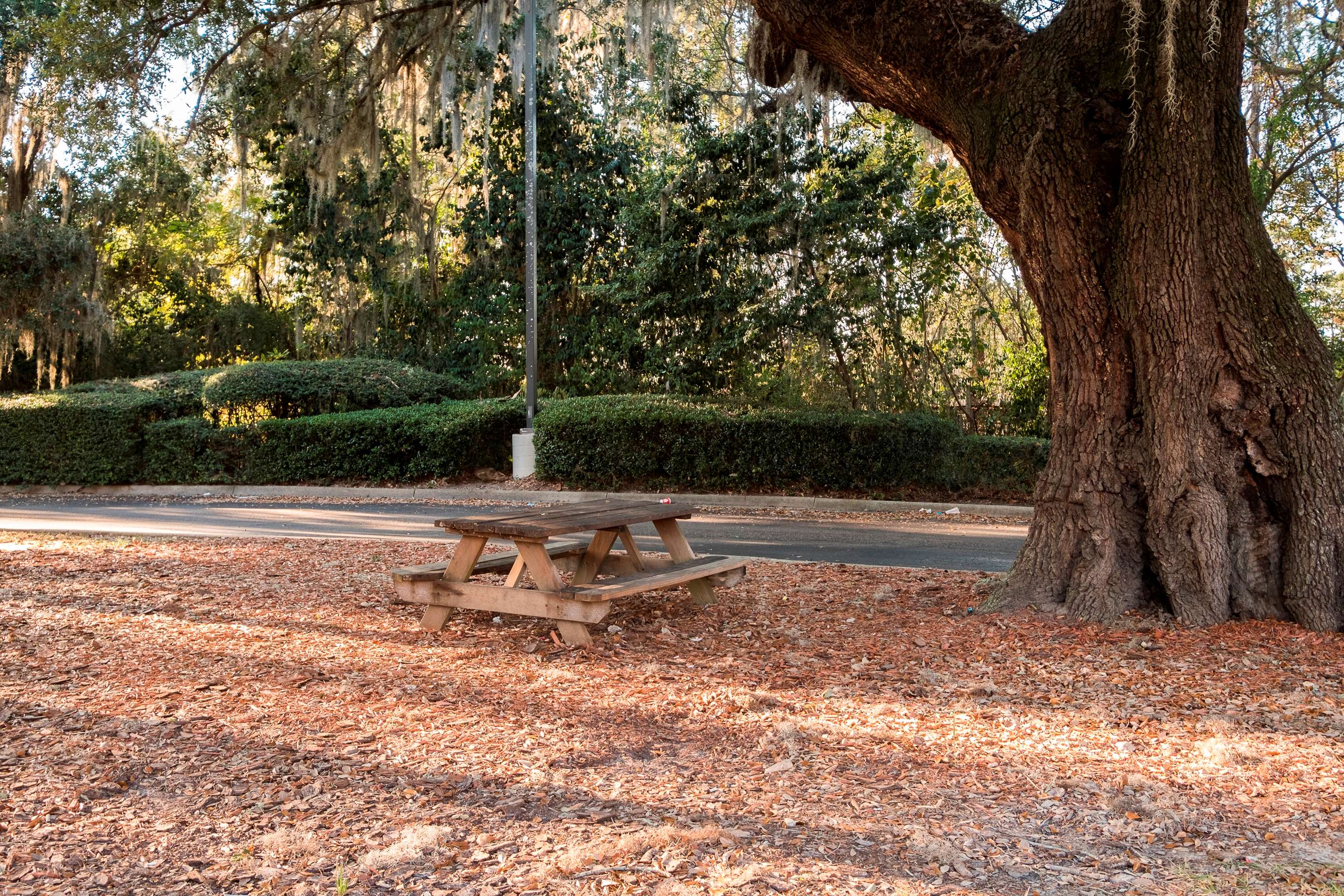 Red Roof Inn Tallahassee - University