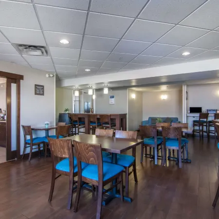 Comfort Inn & Suites Airport South