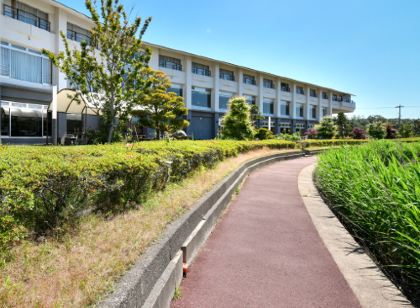 Best 10 Hotels And Ryokans In Japan Awara Usd Trip Com