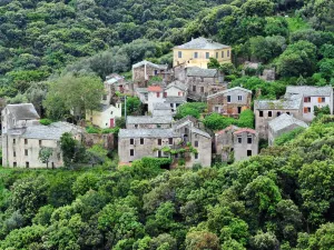 Hôtel Misincu
