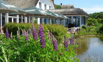 Landhotel Kastanienallee Putbus