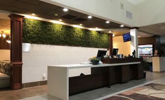 Medallion Inn and Suites