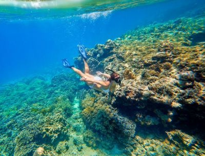 ホテル周辺 クラブ パラダイス リゾート パラワンの写真