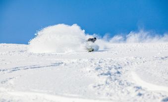 Niseko Alpine Apartments