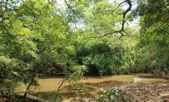Dambulu Oya Family Park
