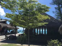 Satun Dive Resort